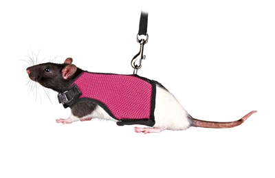 Trixie softtuig met riem voor ratten assorti